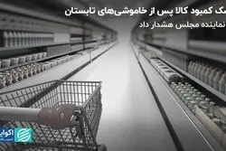 خاموشی‌های تابستان و خطر کمبود برخی کالاها به روایت نماینده مجلس