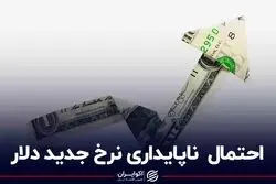احتمال ناپایداری نرخ جدید دلار