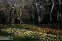 داستان ساخت پارک‌های محبوب تهران 