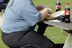 افزایش چشمگیر نرخ چاقی در نقاط مختلف جهان