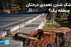 خشک شدن تعمدی درختان در منطقه یک؟