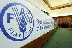 نوسان قیمت جهانی غذا در ژوئیه