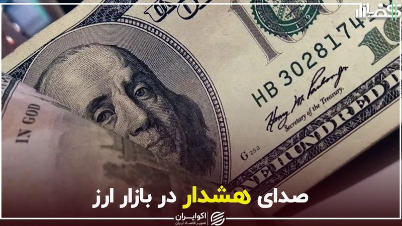 صدای هشدار در بازار ارز