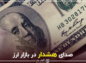 صدای هشدار در بازار ارز