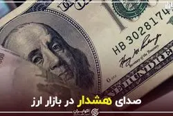 صدای هشدار در بازار ارز