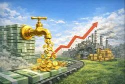 نقدینگی، توپ فوتبال نیست که هدایت شود