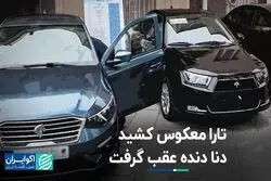 تارا معکوس کشید، دنا دنده عقب گرفت