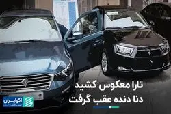 تارا معکوس کشید، دنا دنده عقب گرفت