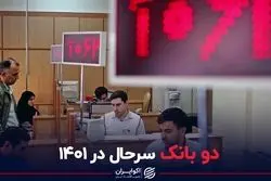 دو بانک سرحال در 1401