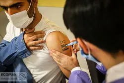 بهترین زمان برای تزریق واکسن کرونا از زبان مقام مسئول در وزارت بهداشت