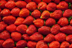 قیمت نوبرانه‌های بهاری در میادین تهران