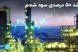 رشد 50 درصدی سود شجم