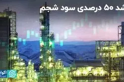 رشد 50 درصدی سود شجم