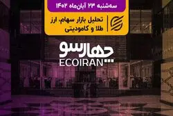 شفاف‌سازی برای نرخ خوراک