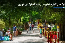 تشکیک در آمار فضای سبز منطقه لوکس تهران