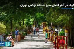 تشکیک در آمار فضای سبز منطقه لوکس تهران