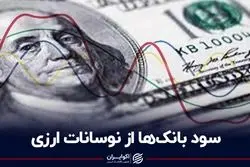 سود بانک‌ها از نوسانات ارزی