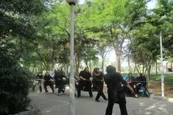 لژاختصاصی برای بانوان در بوستان های پایتخت 

