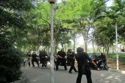 لژاختصاصی برای بانوان در بوستان های پایتخت 

