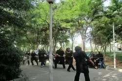 لژاختصاصی برای بانوان در بوستان های پایتخت 

