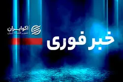 فوری/ کشف تجهیزات و اسلحه غیرقانونی توسط سپاه پاسداران