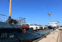 معاون رییسی، منتقد  آیین نامه واردات خودرو شد