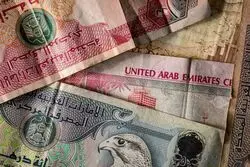 قیمت درهم امارات امروز شنبه 9 اسفند/ کاهش قیمت + جدول و جزئیات