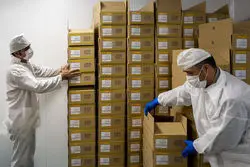 کارنامه ماهانه داروسازانِ بورس تهران 