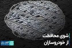 شوی محافظت از خودروسازان