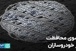 شوی محافظت از خودروسازان