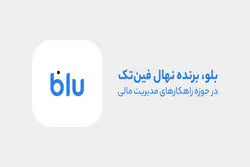 «مروری بر خدمات بلو در حوزه مدیریت مالی»