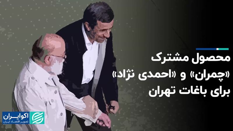 محصول مشترک «چمران» و «احمدی نژاد» برای باغات تهران