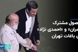 محصول مشترک «چمران» و «احمدی نژاد» برای باغات تهران