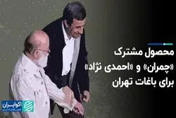 محصول مشترک «چمران» و «احمدی نژاد» برای باغات تهران
