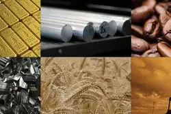 فلزی‌ها از رالی سقوط نرخ نفت و طلا در امان ماندند