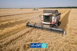 بحران دریای سیاه با امنیت غذایی جهان چه خواهد کرد؟