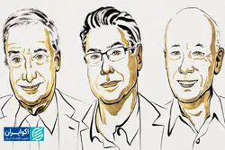 چه کسانی برای چه چیزی نوبل اقتصاد 2025 را دریافت کردند؟