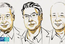 چه کسانی برای چه چیزی نوبل اقتصاد 2025 را دریافت کردند؟