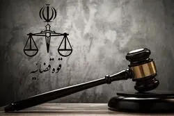توضیحات قوه قضاییه درباره معیارهای عفو؛ جرایم کلان اقتصادی مشمول نمی‌شود