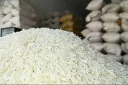 مهلت یک‌ماهه معاون اول برای خرید برنج مازاد شمال