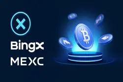 چگونه یک صرافی جایگزین پیدا کنیم؟