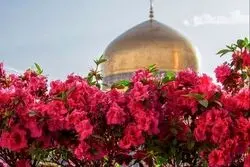 ضروری ترین نکات سفر به شهر مشهد فقط در این مطلب!