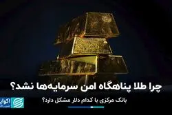 چرا طلا پناهگاه امن سرمایه‌ها نشد؟/ بانک مرکزی با کدام دلار مشکل دارد؟
