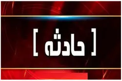 حمله خودرو به بازدیدکنندگان در کانادا 11 کشته بر جای گذاشت