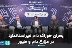 بحران خوراک دام غیراستاندارد در مزارع دام و طیور