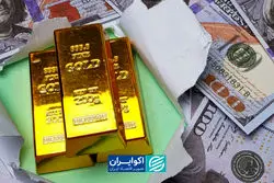 پالس اوراق به بازار طلا و ارز