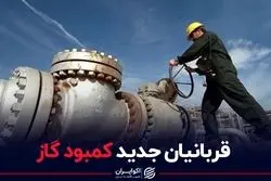 قربانیان جدید کمبود گاز