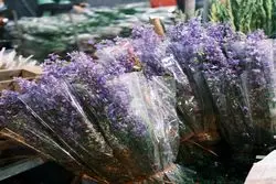 اقتصاد گل در ایران؛ مناسبت‌ها چگونه بازار خرید گل را داغ می‌کنند؟