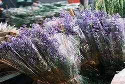 اقتصاد گل در ایران؛ مناسبت‌ها چگونه بازار خرید گل را داغ می‌کنند؟