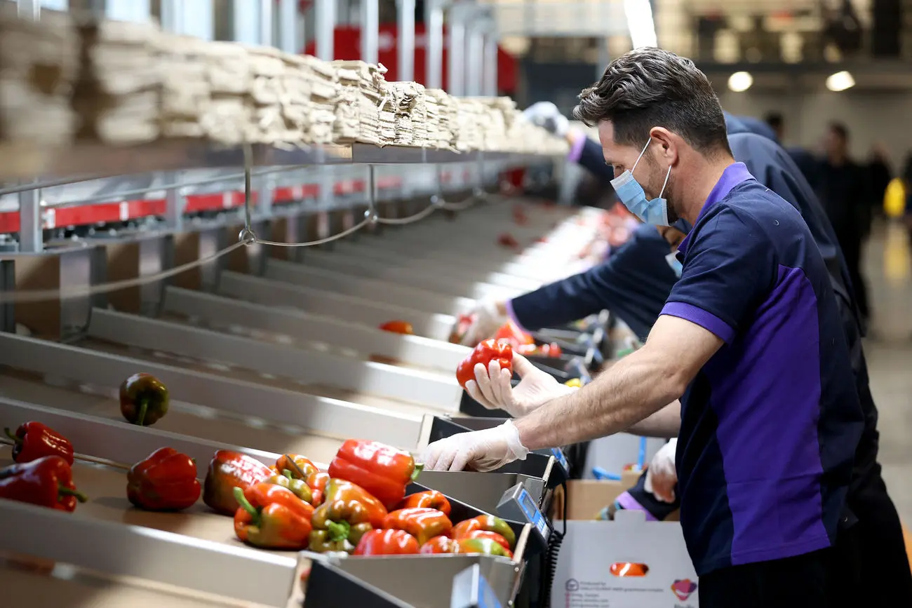 ماجرای فلفل دلمه‌های برگشتی ایران